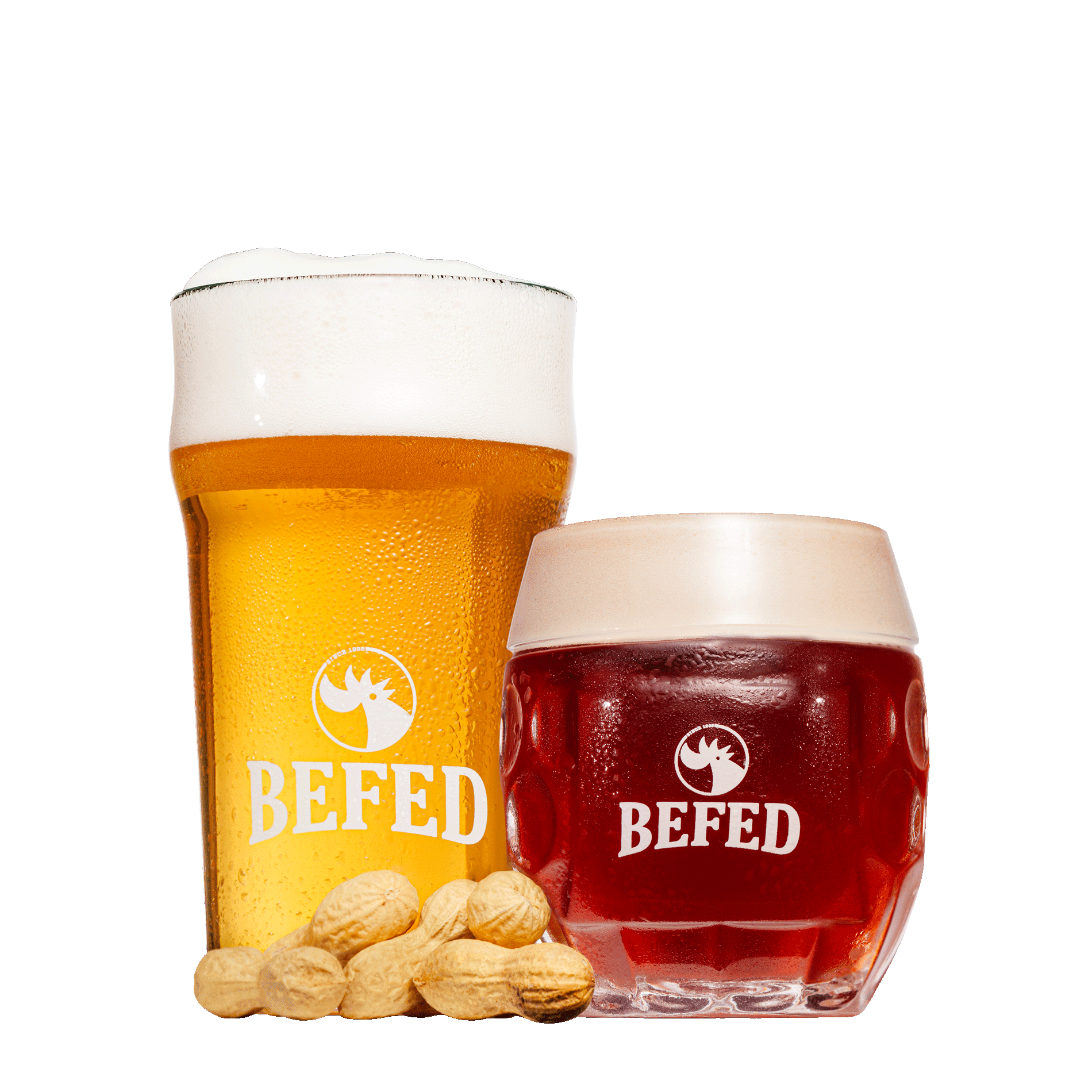 Birra Artiginale BEFED